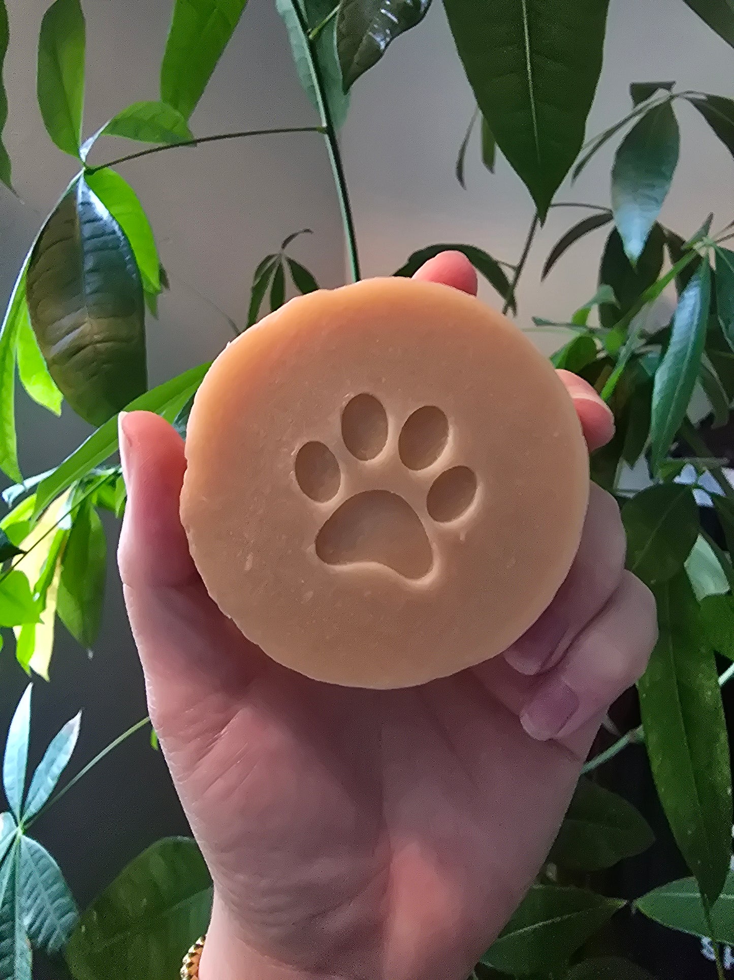 Doggy Soap 🐾