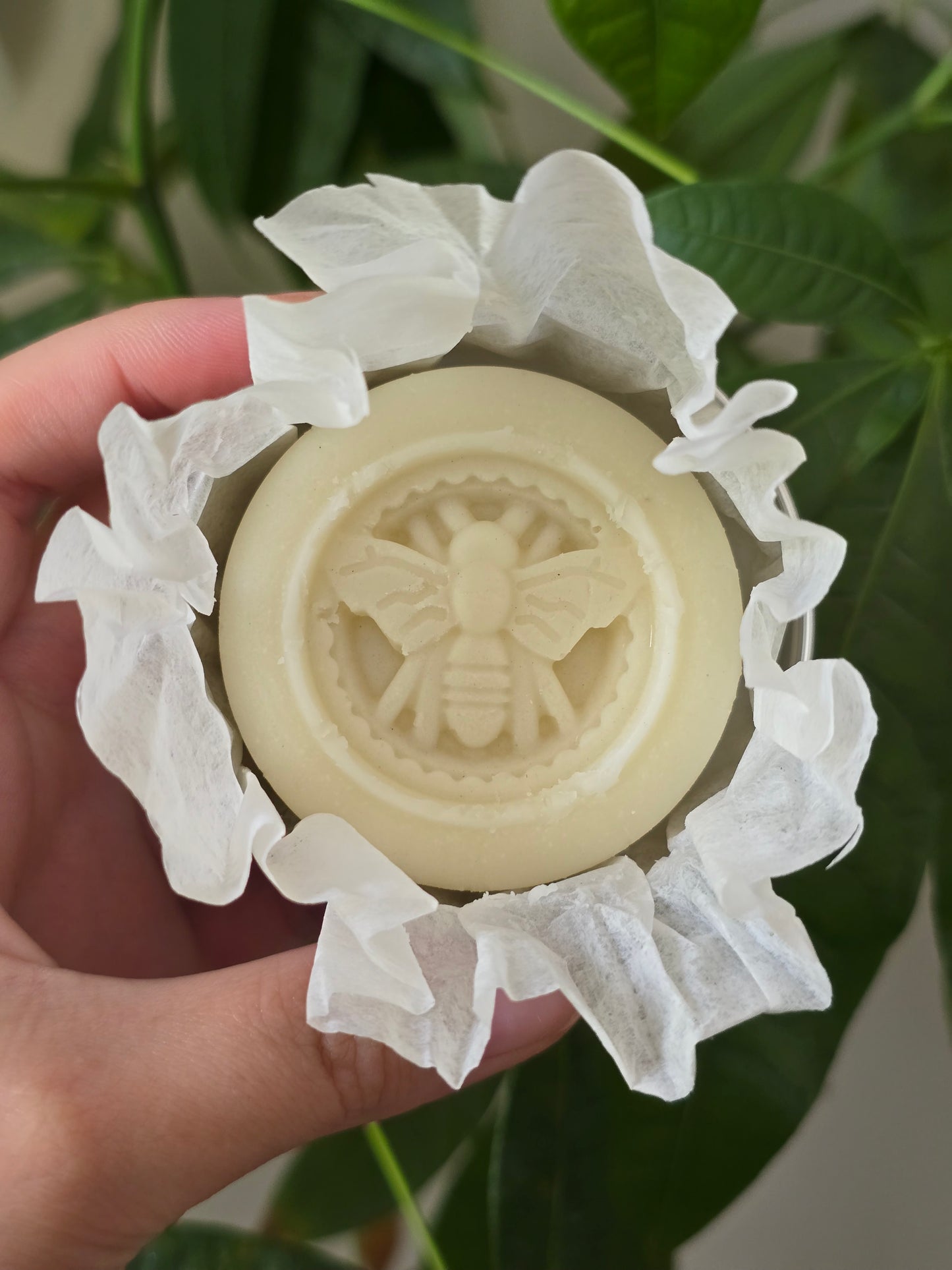 Almond Lotion Bar