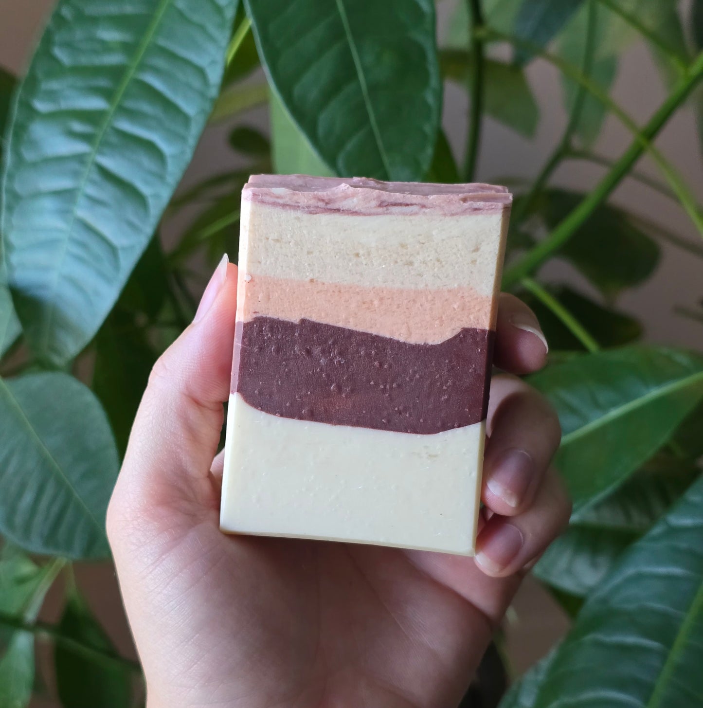 Autumn Fig Harvest Soap (limited)