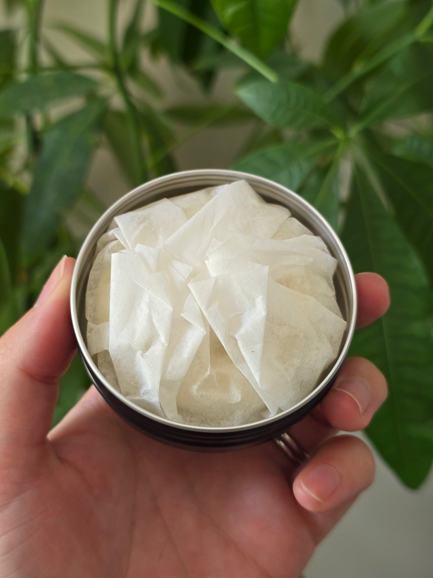 Pure Honey Lotion Bar