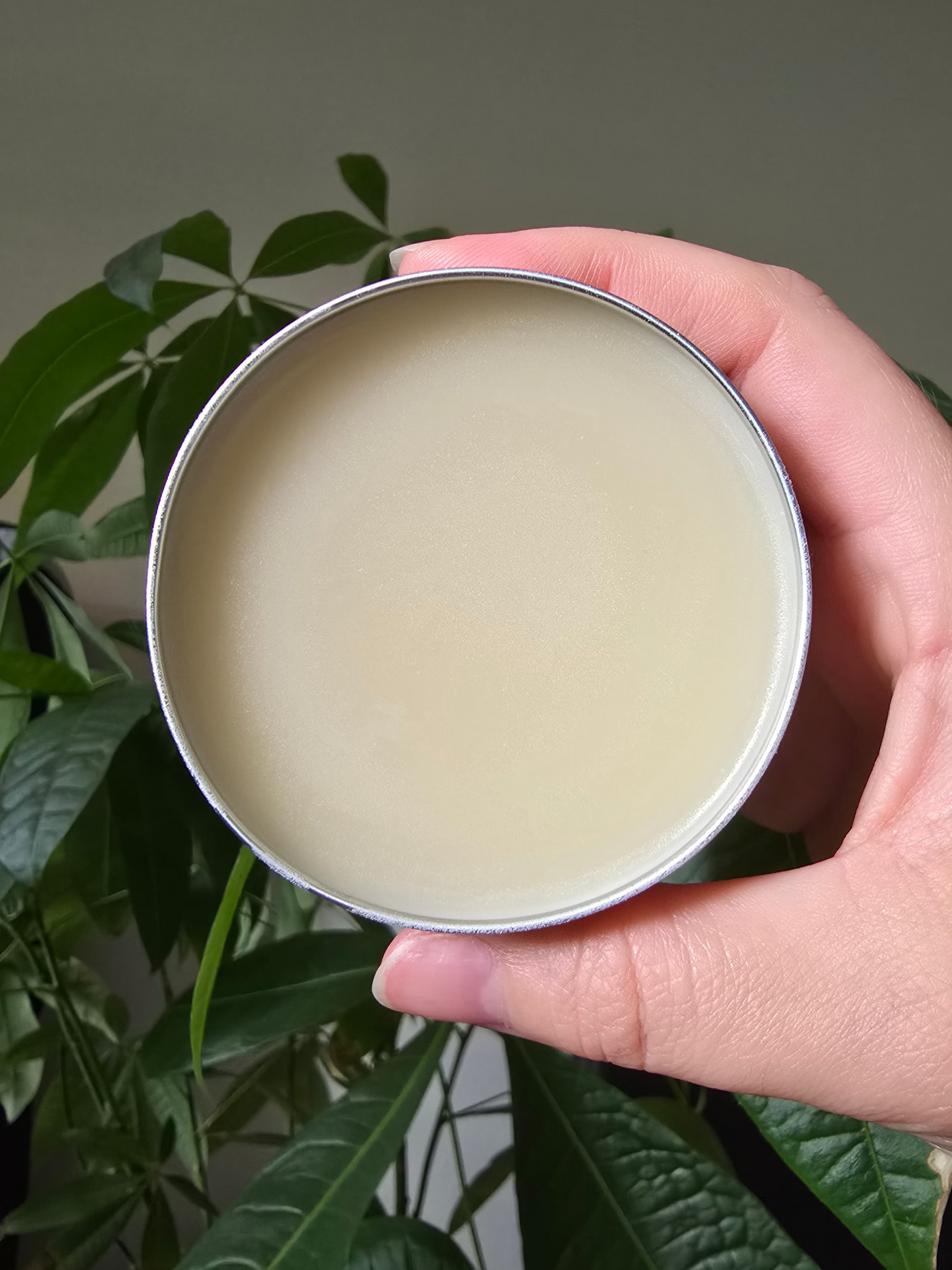 Pet Balm