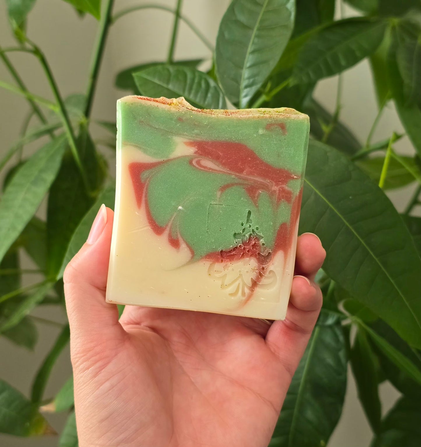 Black Spruce and Anise Soap (SALE)