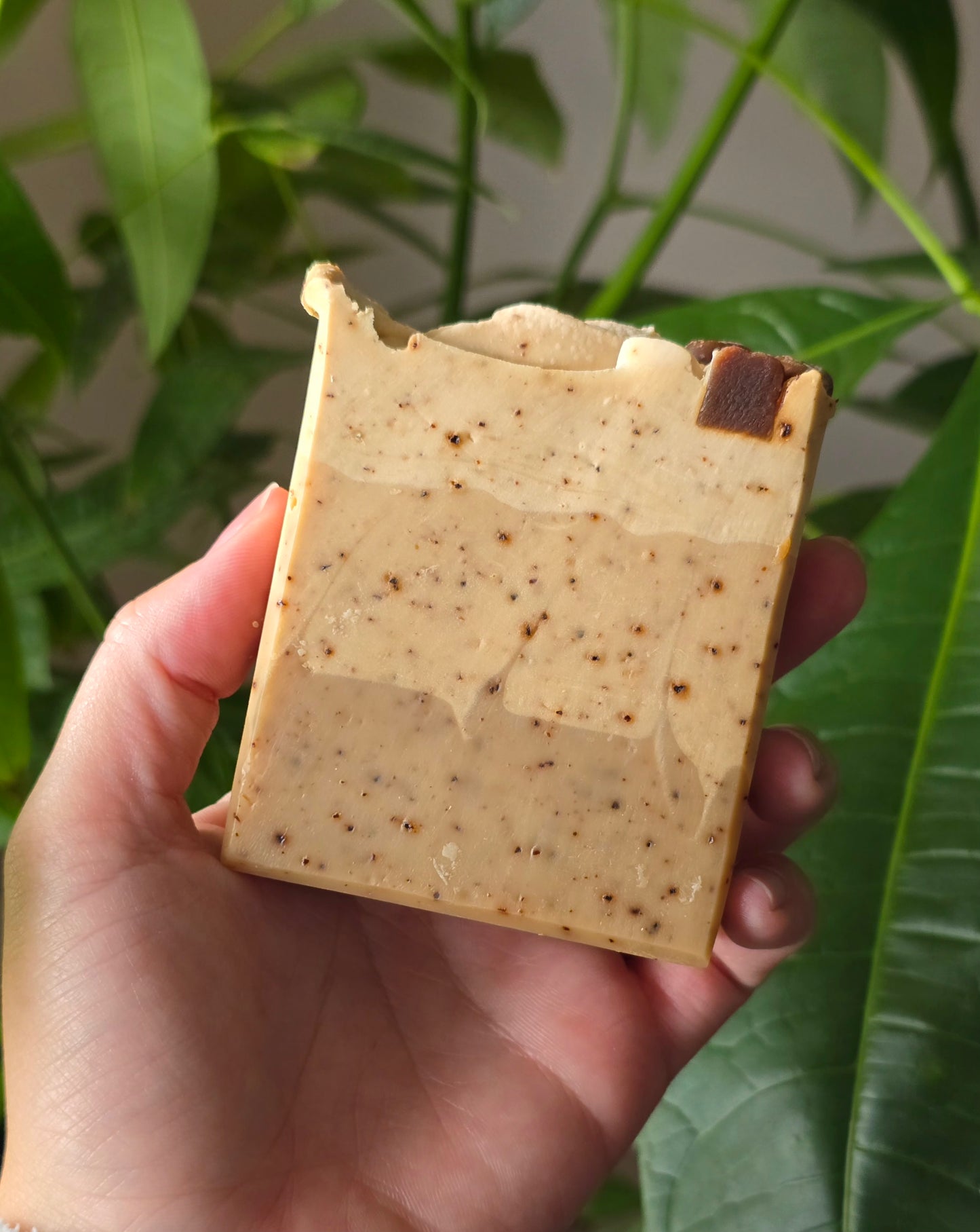 Caffe Latte Scrub Bar