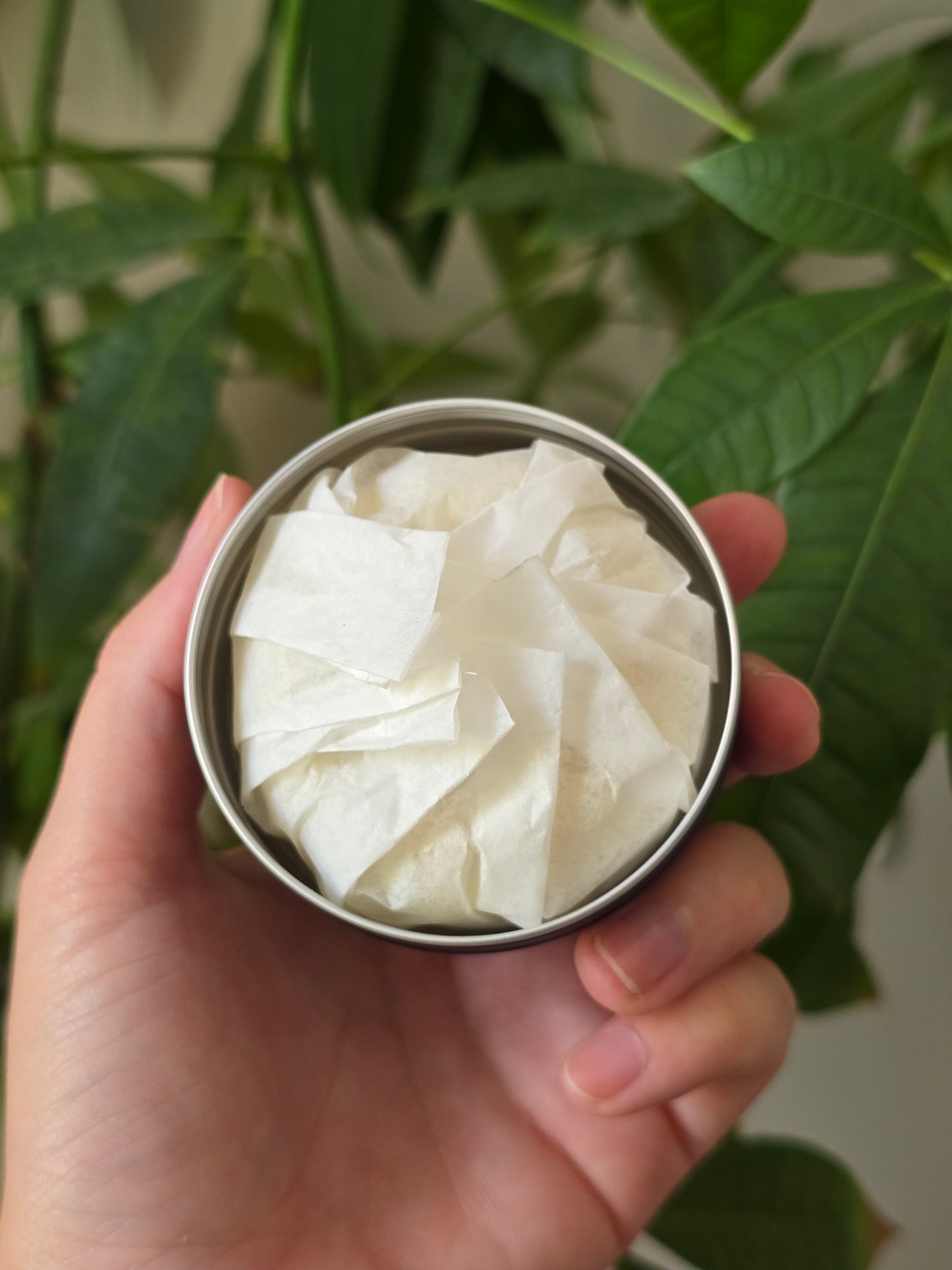 Chamomile Lotion Bar