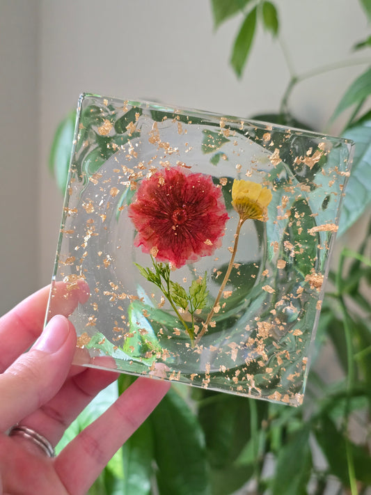 Clear Square Soap Dish