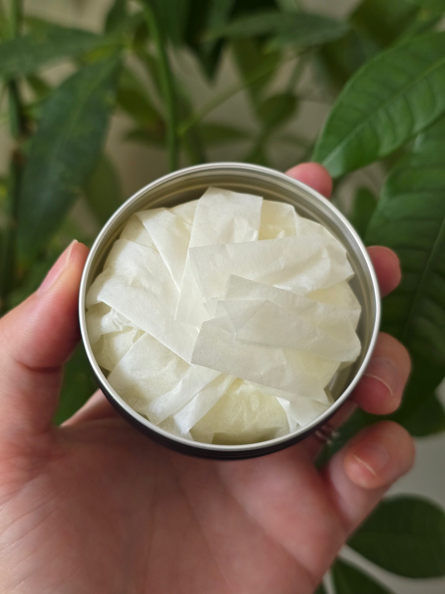 Southern Peach Lotion Bar