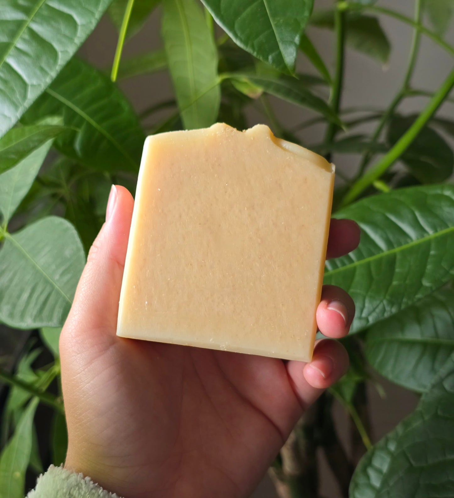Lavender Oats Soap