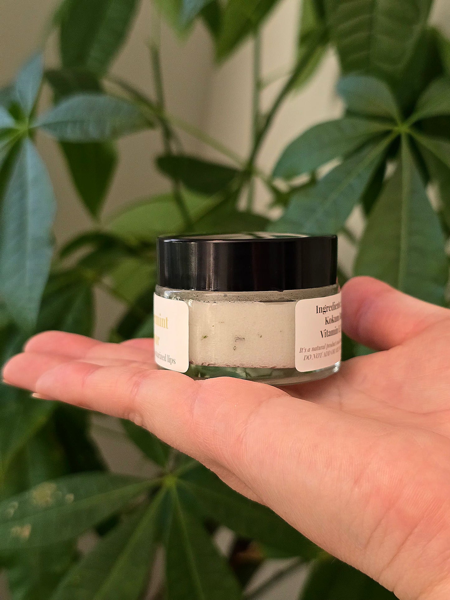 Peppermint Lip Scrub