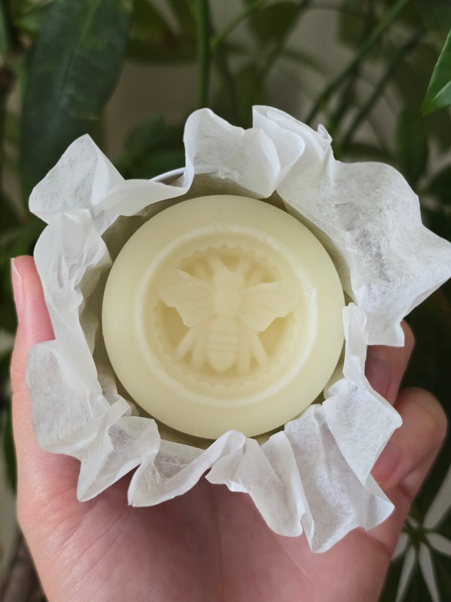 Southern Peach Lotion Bar