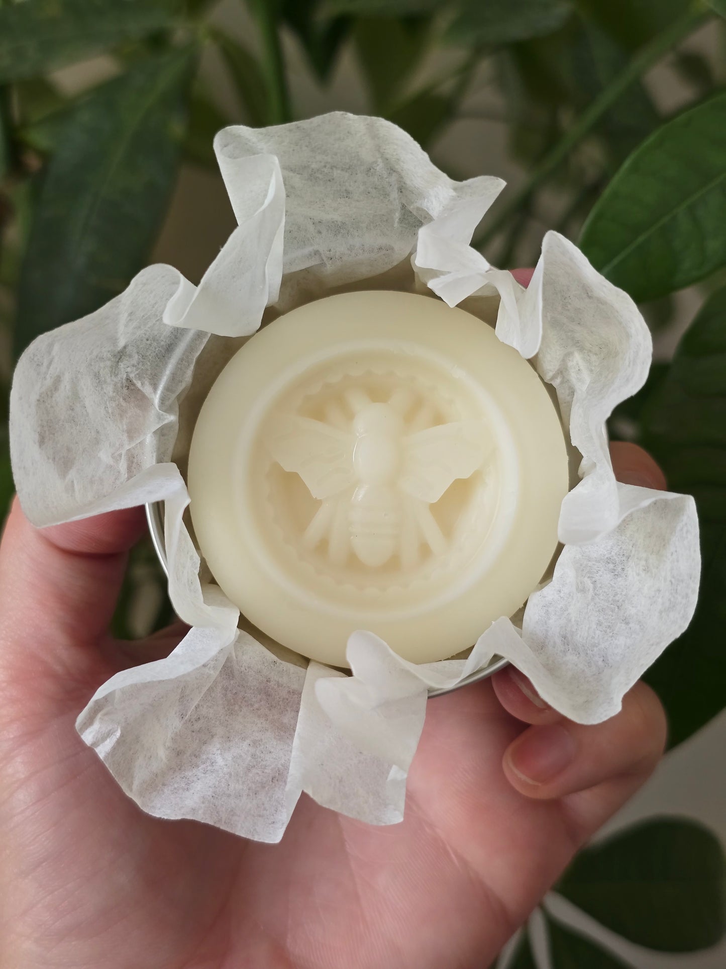 Palo Santo & Mahogany Lotion Bar