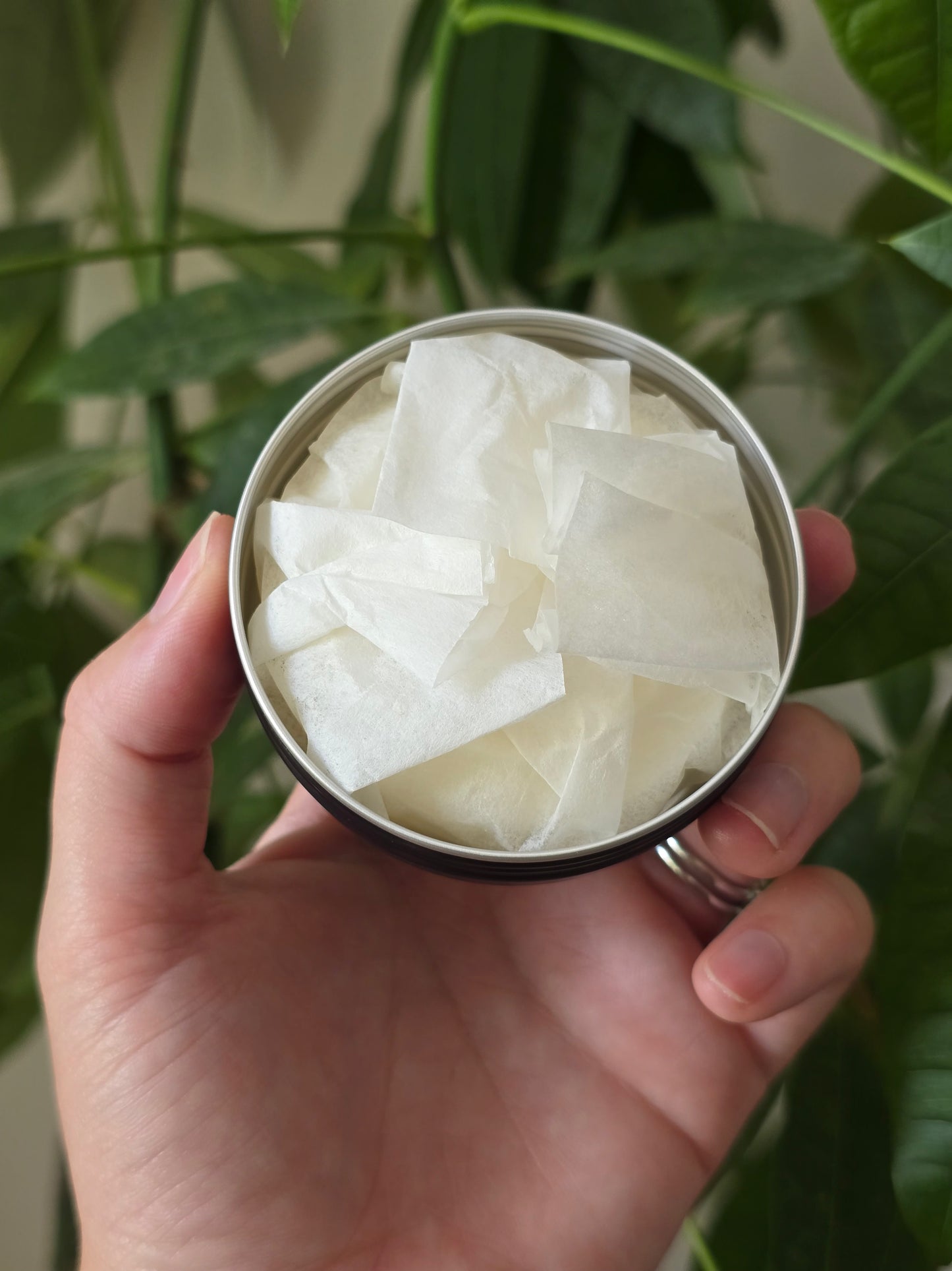 Palo Santo & Mahogany Lotion Bar