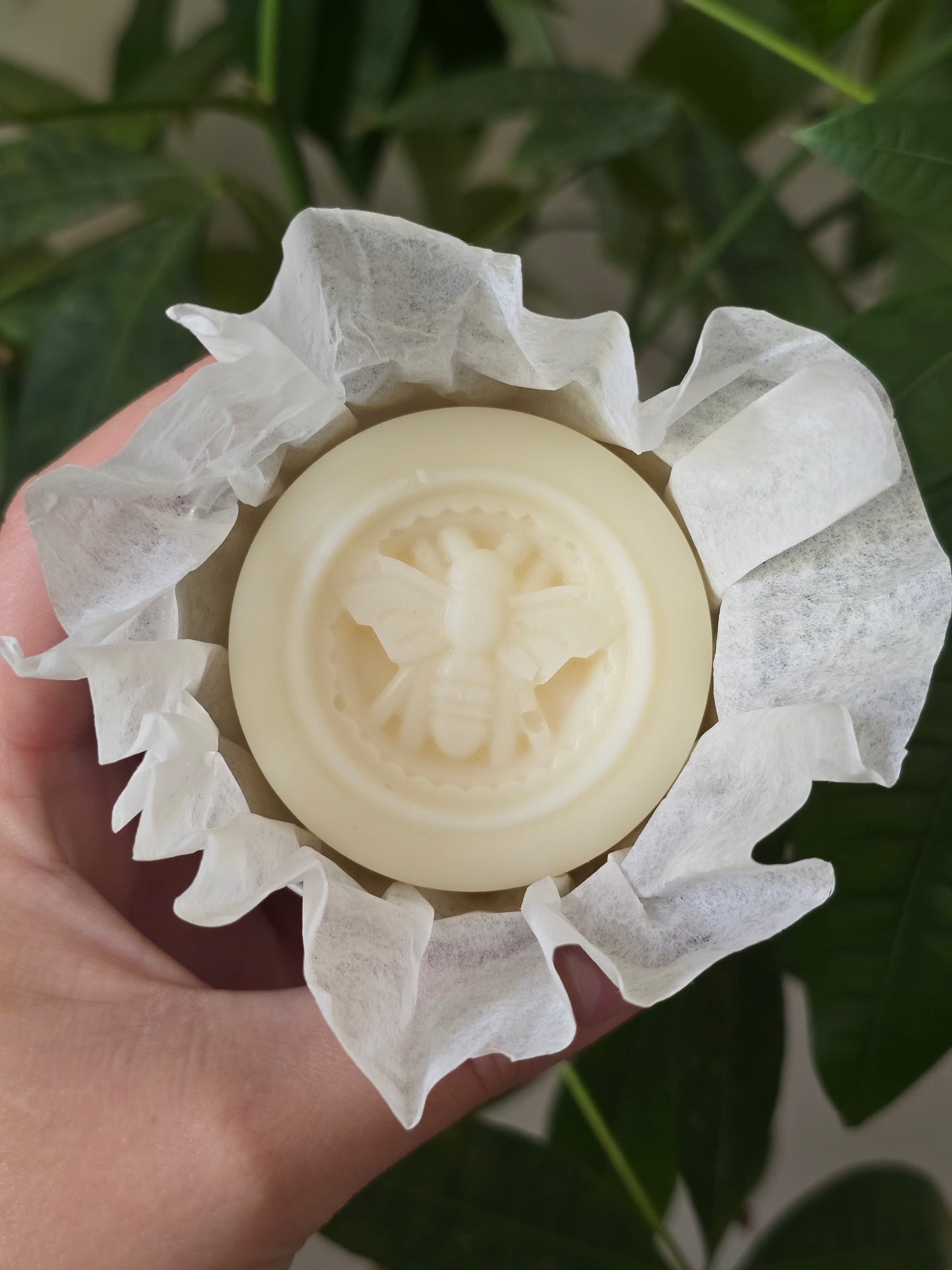 Night Violet Lotion Bar